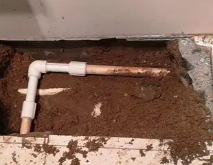 上杭测漏水哪家好