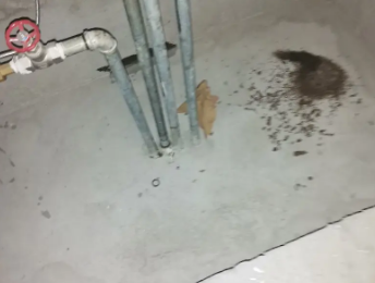 上杭卫生间测漏水价格明细