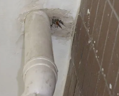 上杭漏水检测哪家好